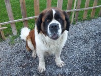 /album/galerie-de-photos-2/a402512-347482228614536-100000582858584-1403621-519261853-n-jpg/