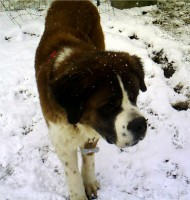 /album/galerie-de-photos-2/crim00340-jpg/