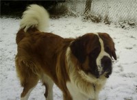 /album/galerie-de-photos-2/crim00120-jpg/